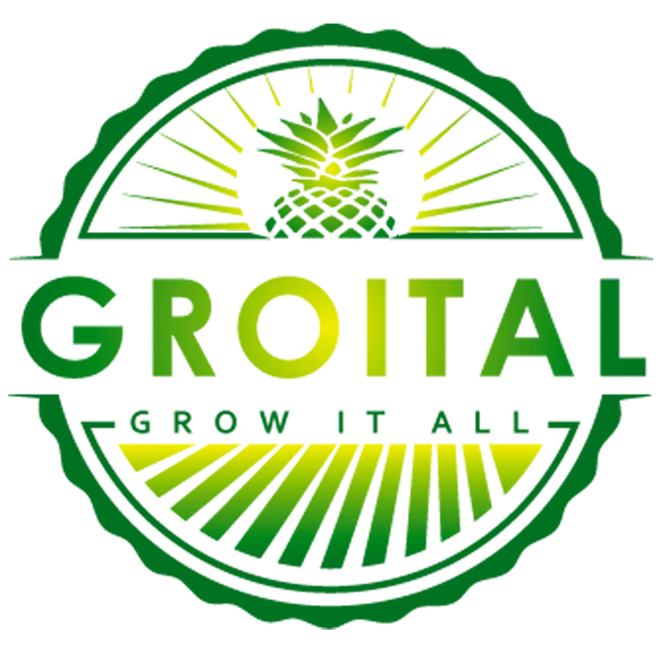 GROITAL favicon