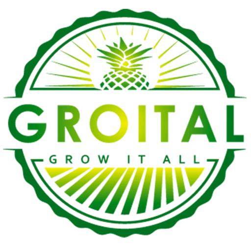 GROITAL favicon